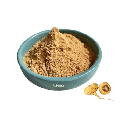 El extracto puro natural de la raíz de la venta al por mayor el 100% Maca del proveedor de la fábrica pulveriza cápsulas y las tabletas del OEM