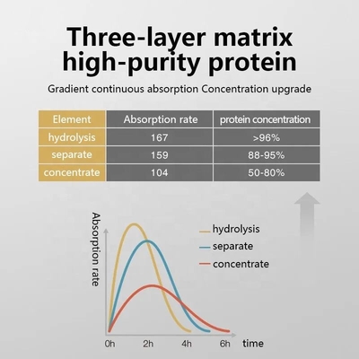 Polvo de proteína de suero de leche OEM/ODM, polvo de nutrición, ejercicio físico, aumento de músculo, aumento de peso rápido, polvo de creatina