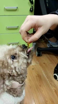 Aceite de pescado alimenticio del suplemento de la salud del animal doméstico del OEM para los perros y los gatos Omega 3