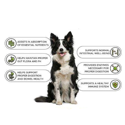 Suplemento de entrenamiento de la proteína de Dog Weight Gain del constructor del aumento del músculo de la salud del suplemento de la tableta del aumento de Nutrit del animal doméstico del OEM Natur