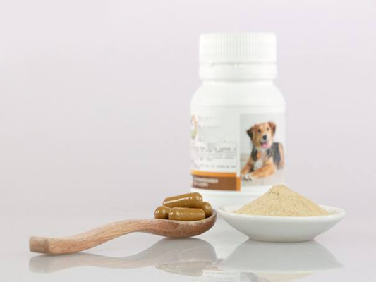 Suplementos alimenticios del animal doméstico del OEM