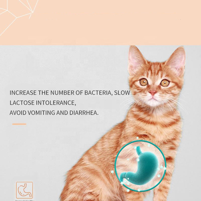Suplementos de la atención sanitaria del animal doméstico del OEM Cat Milk Supplement de los gatitos