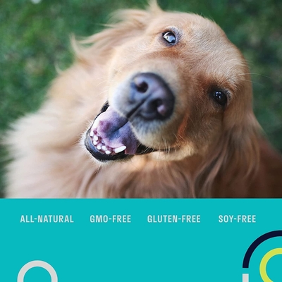 Los Multivitamins acarician el suplemento probiótico diario libre del OEM del grano alimenticio de los suplementos para los perros