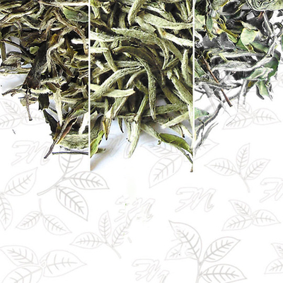 Empaquetado neutral de la hoja del tumor de la desintoxicación del OEM del té de peso del té herbario tradicional plano de la pérdida