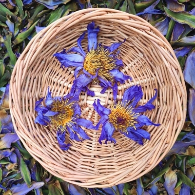 Té mezclado con frutas OEM Té dulce de fresa Fupenzi de arándanos mezclado con té de frutas de sabor suelto