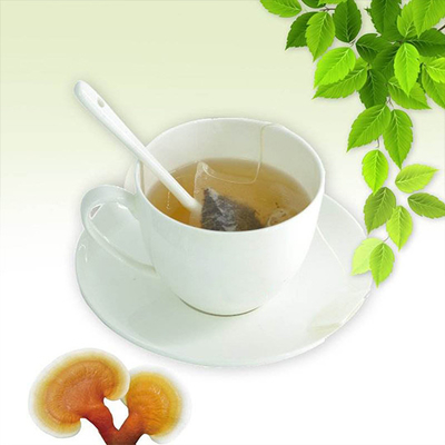 OEM Ganoderma Lucidum Mushroom Lingzhi Bolsa de té verde Té de desintoxicación de salud a base de hierbas instantáneo