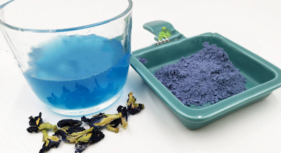 OEM azul secado natural herbario de Pea Flower Tea de la mariposa