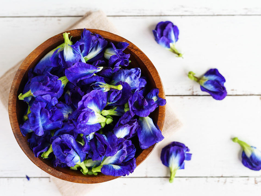 OEM azul secado natural herbario de Pea Flower Tea de la mariposa