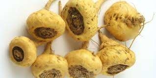 Maca encapsula suplementos nutricionales para hombres, suplementos corporales fuertes para fitness