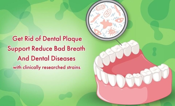 Sugar Free Oral Probiotic Bubble que los rombos hacen tabletas 3 mil millones CFU para los dientes engoma salud y la respiración fresca