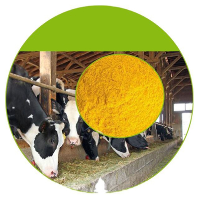 Suplementos alimenticios de las mujeres del aceite de la vitamina E para la salud de los hombres y de las mujeres