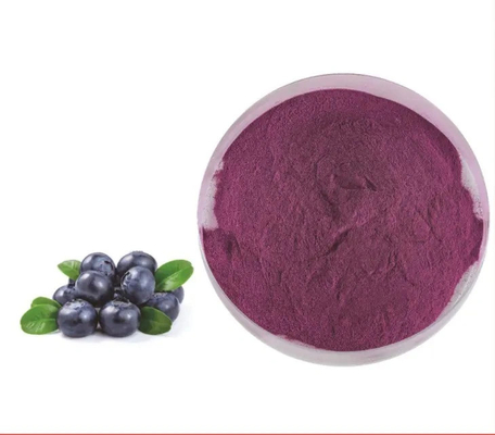 Extracto natural de frutas Bebida sólida instantánea Jugo de arándanos en polvo