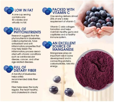 Extracto natural de frutas Bebida sólida instantánea Jugo de arándanos en polvo