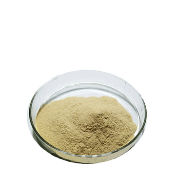 Suplemento natural Extracto de hoja de té verde de alta calidad 98% Polvo de polifenoles de té